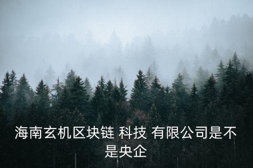 海南玄機區(qū)塊鏈 科技 有限公司是不是央企