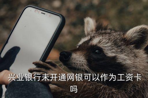  興業(yè)銀行未開通網銀可以作為工資卡嗎