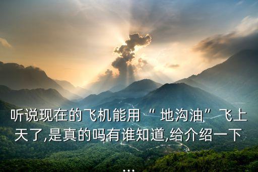 聽說(shuō)現(xiàn)在的飛機(jī)能用“ 地溝油”飛上天了,是真的嗎有誰(shuí)知道,給介紹一下...