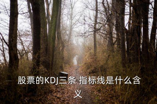  股票的KDJ三條 指標(biāo)線(xiàn)是什么含義