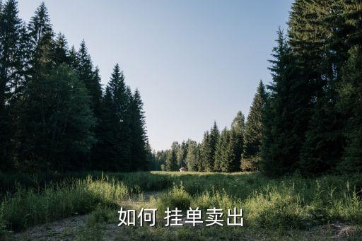 買賣股票掛單技巧,集合競價(jià)如何掛單買賣股票