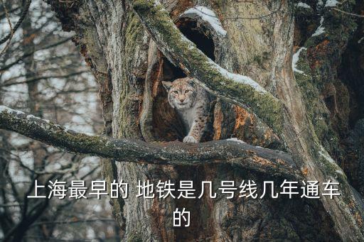  上海最早的 地鐵是幾號(hào)線幾年通車(chē)的