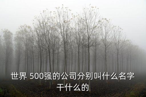 500強(qiáng)集團(tuán),開局獎勵世界500強(qiáng)集團(tuán)