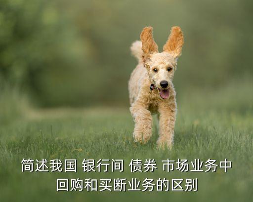 簡述我國 銀行間 債券 市場業(yè)務(wù)中回購和買斷業(yè)務(wù)的區(qū)別