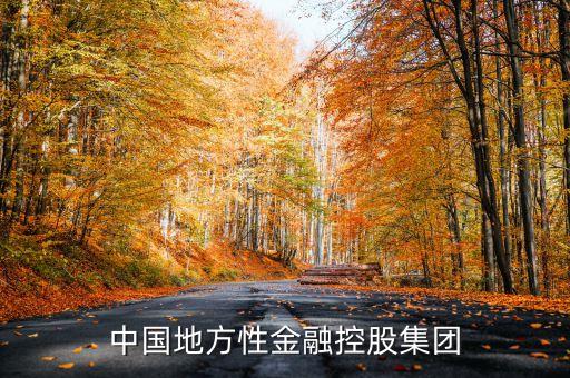 中國(guó)地方性金融控股集團(tuán)