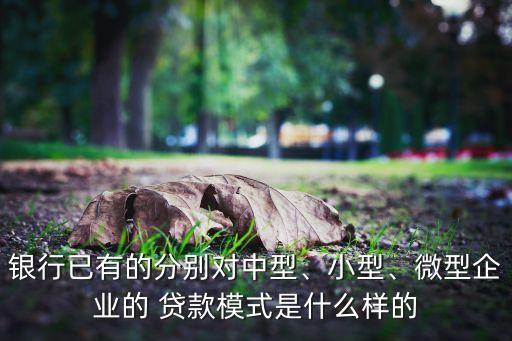 銀行已有的分別對(duì)中型、小型、微型企業(yè)的 貸款模式是什么樣的