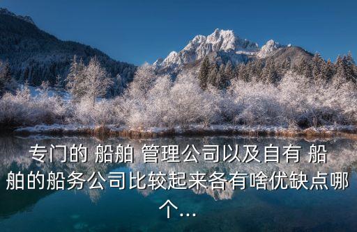 專門的 船舶 管理公司以及自有 船舶的船務公司比較起來各有啥優(yōu)缺點哪個...