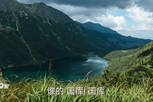 誰(shuí)的 國(guó)庫(kù)| 國(guó)庫(kù)