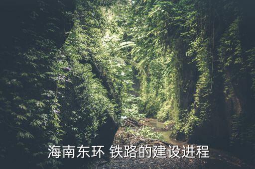  海南東環(huán) 鐵路的建設(shè)進程