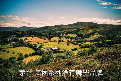 茅臺集團(tuán)技術(shù)開發(fā)公司胡芳精,貴州茅臺酒廠集團(tuán)技術(shù)開發(fā)公司是不是茅臺