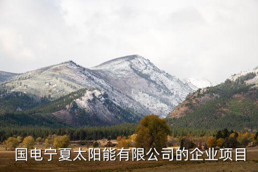  國(guó)電寧夏太陽(yáng)能有限公司的企業(yè)項(xiàng)目