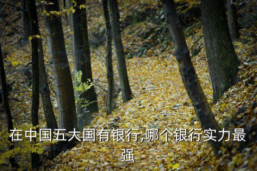 在中國(guó)五大國(guó)有銀行,哪個(gè)銀行實(shí)力最強(qiáng)
