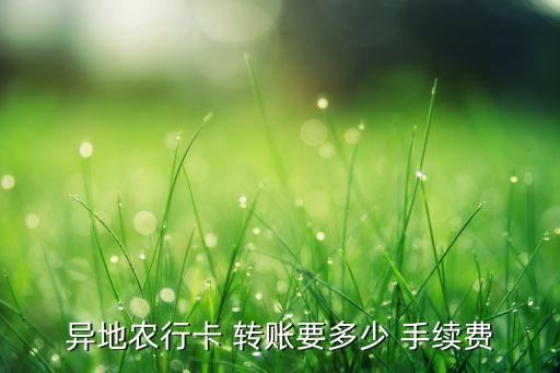 異地農(nóng)行卡 轉(zhuǎn)賬要多少 手續(xù)費