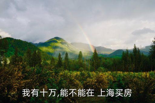我有十萬(wàn),能不能在 上海買(mǎi)房
