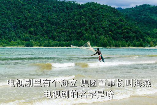 海姿集團(tuán)老總,齊齊哈爾海義集團(tuán)老總是誰啊