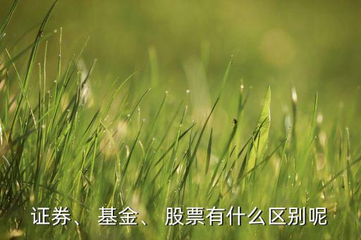 證券、 基金、 股票有什么區(qū)別呢
