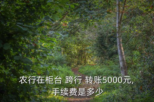 農(nóng)業(yè)銀行跨行轉(zhuǎn)賬手續(xù)費多少,手機(jī)農(nóng)業(yè)銀行跨行轉(zhuǎn)賬要手續(xù)費嗎