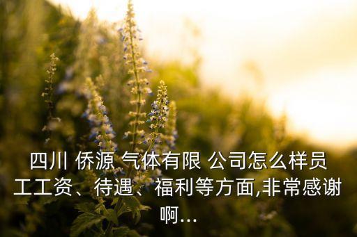 四川 僑源 氣體有限 公司怎么樣員工工資、待遇、福利等方面,非常感謝啊...