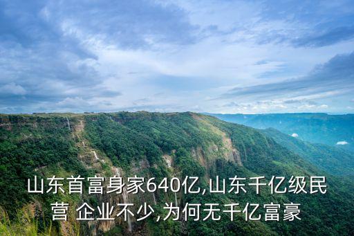 山東首富身家640億,山東千億級(jí)民營 企業(yè)不少,為何無千億富豪