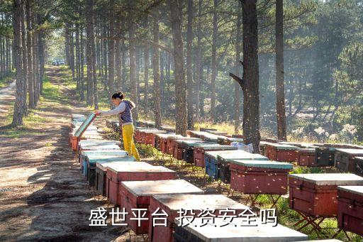天津天財盛世投資有限公司,盛世金豪(天津)建設(shè)投資有限公司