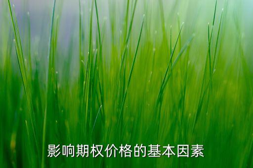 影響期權價格的基本因素
