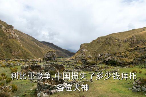  利比亞戰(zhàn)爭(zhēng),中國(guó)損失了多少錢(qián)拜托各位大神