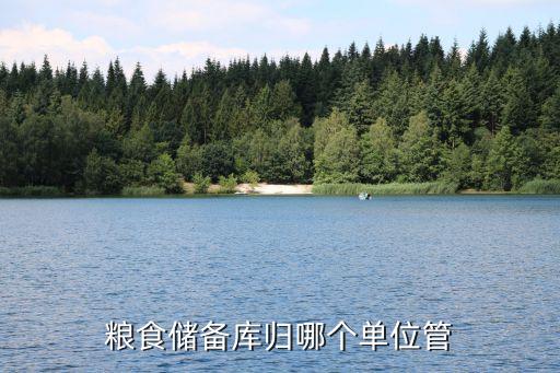 中儲(chǔ)糧總公司是否歸國資委管,中國電信總公司歸國資委管嗎