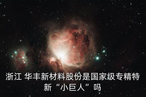 浙江 華豐新材料股份是國(guó)家級(jí)專(zhuān)精特新“小巨人”嗎