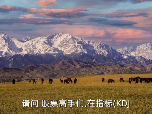 請問 股票高手們,在指標(biāo)(KDJ