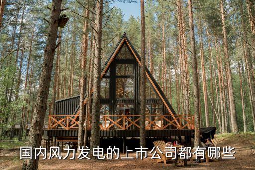 國(guó)內(nèi)風(fēng)力發(fā)電的上市公司都有哪些