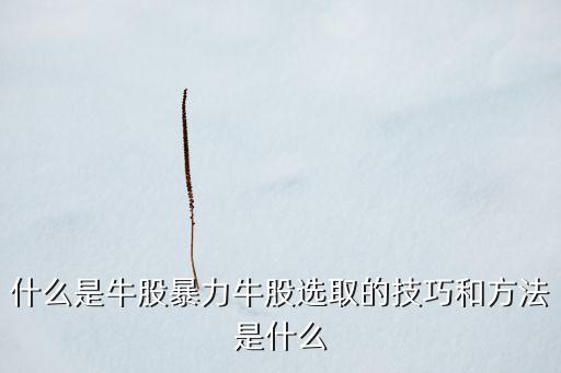 最熱股票,汽車(chē)熱管理股票