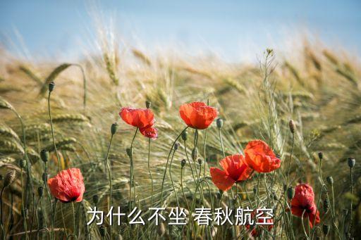 春秋股份有限公司,樂(lè)山市春秋出租汽車股份有限公司