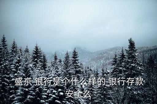  盛京 銀行是個(gè)什么樣的 銀行存款安全么