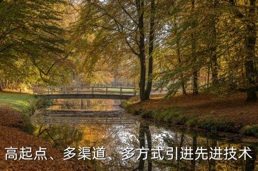 高起點、多渠道、多方式引進先進技術(shù)