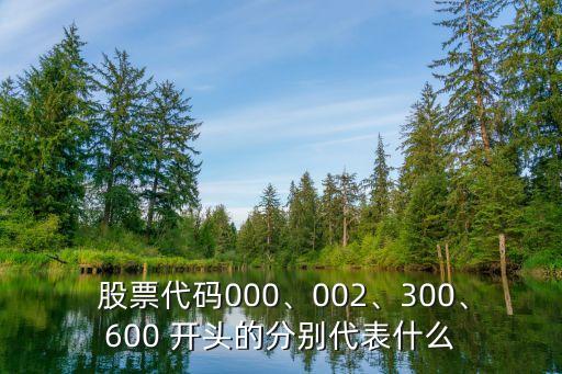  股票代碼000、002、300、600 開頭的分別代表什么