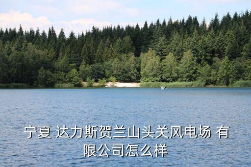  寧夏 達(dá)力斯賀蘭山頭關(guān)風(fēng)電場(chǎng) 有限公司怎么樣