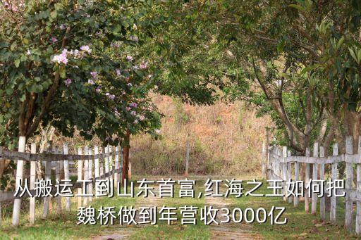 魏橋創(chuàng)業(yè)股票,山東魏橋創(chuàng)業(yè)集團股票