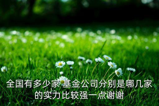 全國有多少家 基金公司分別是哪幾家的實力比較強一點謝謝