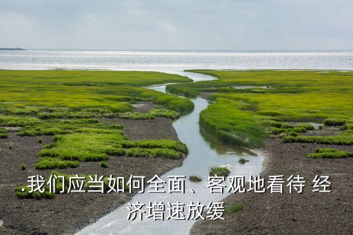 .我們應(yīng)當(dāng)如何全面、客觀地看待 經(jīng)濟增速放緩