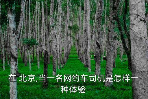 在 北京,當(dāng)一名網(wǎng)約車司機(jī)是怎樣一種體驗(yàn)
