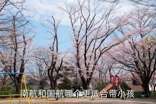 南航和國航哪個更適合帶小孩