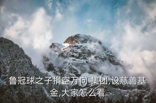 魯冠球之子捐空萬向 集團,設(shè)慈善基金,大家怎么看
