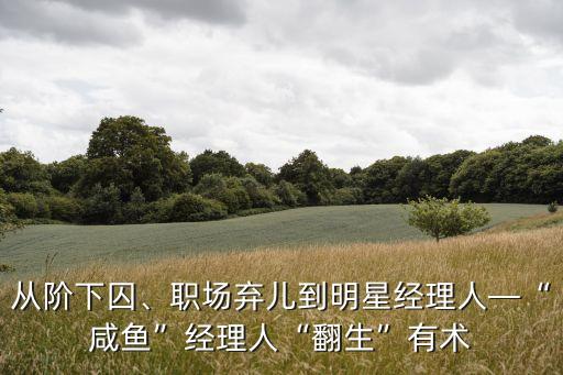 從階下囚、職場(chǎng)棄兒到明星經(jīng)理人—“咸魚”經(jīng)理人“翻生”有術(shù)