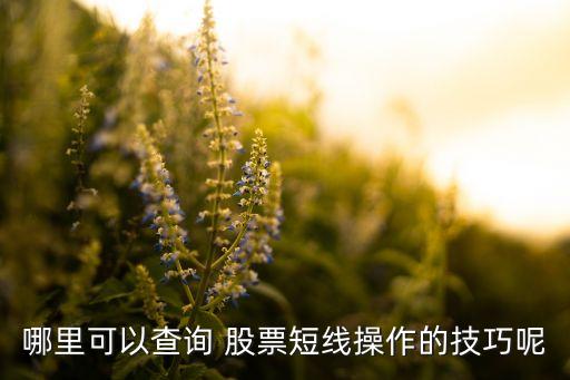 哪里可以查詢(xún) 股票短線操作的技巧呢