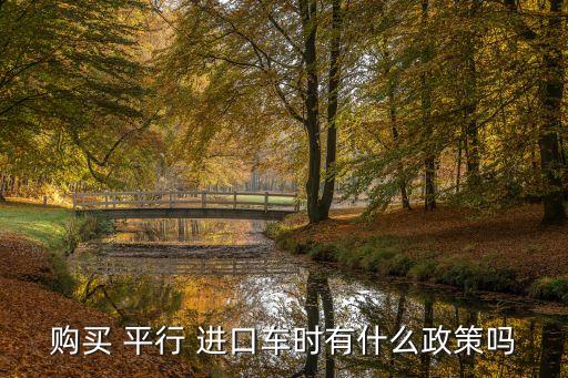 購(gòu)買(mǎi) 平行 進(jìn)口車(chē)時(shí)有什么政策嗎