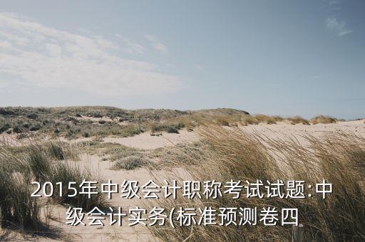 2015年中級會計(jì)職稱考試試題:中級會計(jì)實(shí)務(wù)(標(biāo)準(zhǔn)預(yù)測卷四
