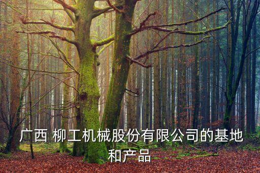 廣西柳州柳工總公司,柳工挖掘機(jī)總公司在哪里