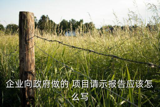 企業(yè)向政府做的 項(xiàng)目請示報(bào)告應(yīng)該怎么寫