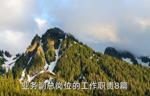 業(yè)務(wù)副總崗位的工作職責8篇