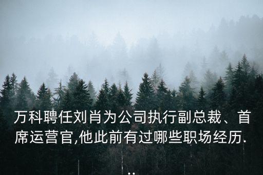  萬科聘任劉肖為公司執(zhí)行副總裁、首席運營官,他此前有過哪些職場經(jīng)歷...